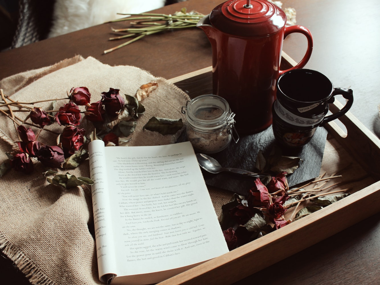 primera línea - literatura